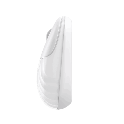 Chuột DAREU LM135D Wireless Silent Mouse - Ảnh 3